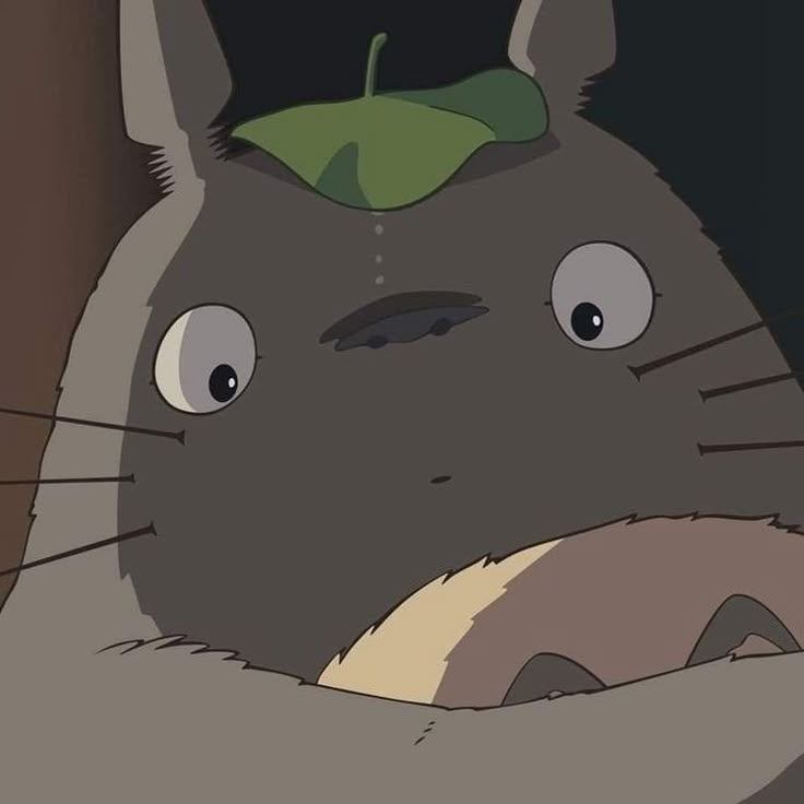 custom Totoro bracelet