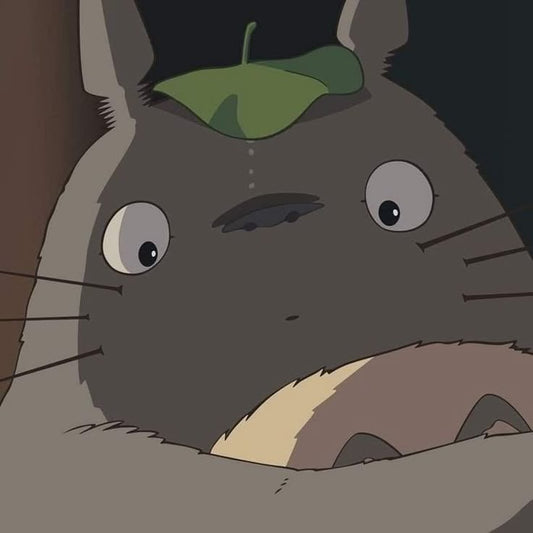 custom Totoro bracelet